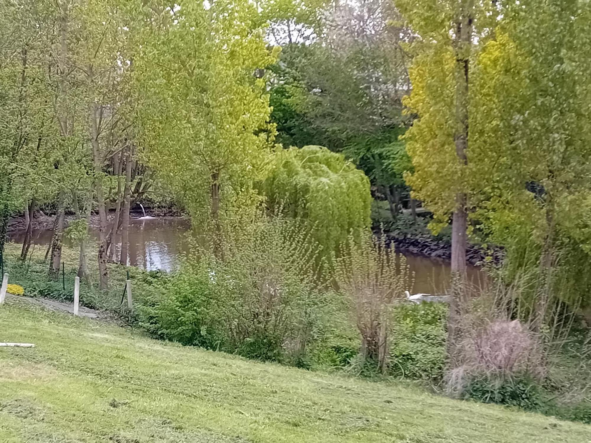 Maison Au Coeur De La Nature Cerisy-la-Foret エクステリア 写真